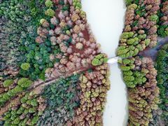 -上海海湾国家森林公园