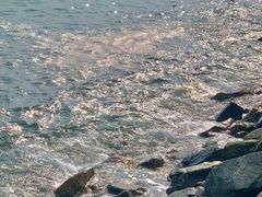 -旺富东海大酒楼(海鲜街店)