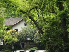 -龙井壹号·茶缘山景宴(龙井村店)