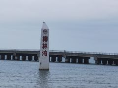 -东郊椰林