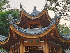 -阳台山森林公园