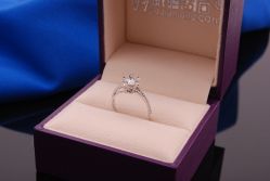 DSC_6124-威德钻石-克拉钻大本营(南京东路店)