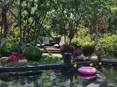 -东方华地城湿地温泉度假区