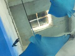 -北戴河圣蓝海洋公园