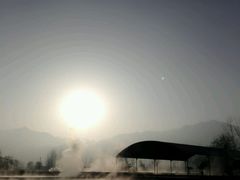 android_upload_pic-特种渔场