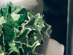 -焼肉 薩摩牛旬 A5鹿児島黒毛和牛一頭買い　(渋谷本店)