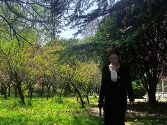 -河南省黄河迎宾馆