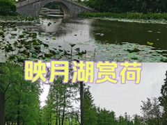 -映月湖公园