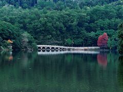 -深圳仙湖植物园