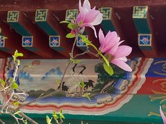 -丰台花园