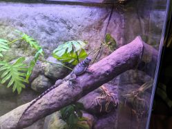 -酷嗒动物文化乐园(cutezoo西溪乐天城店)