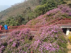 -广州市石门国家森林公园