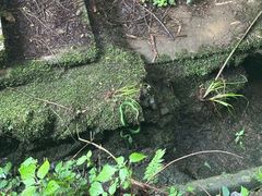 -山王坪喀斯特国家生态公园