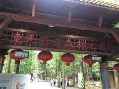 -东平国家森林公园