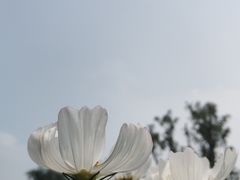 -府河摄影公园