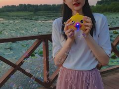-丁香湖公园