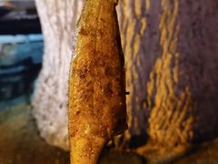 -红蜡烛-养生粥-津鲁菜(中山路店)