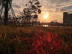 -上海山野camping·户外天幕烧烤·团建拓展营地