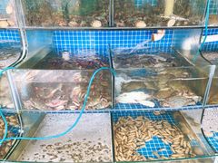 水产区-蟹谢蒸鲜自助餐厅