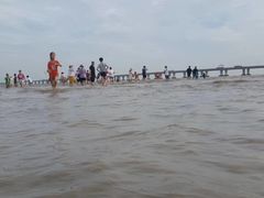 -南汇嘴观海公园