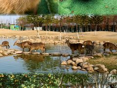 -盈香心动乐园