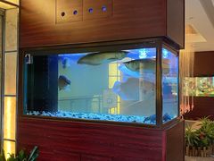 -厦门悦华酒店·绿庭主题自助餐厅