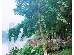 -重庆彩云湖湿地公园