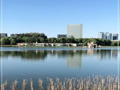 -大兴滨河森林公园