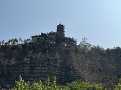 -南沙蒲洲花园