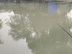 -成飞公园