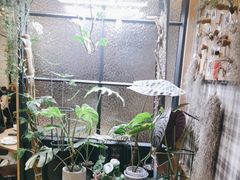 -257私房菜