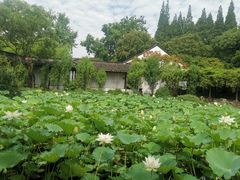 -上海醉白池公园