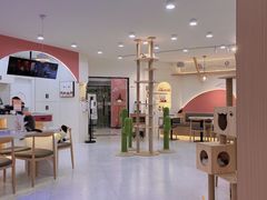 大堂-喵园·猫主题咖啡厅·撸猫·猫咖(国贸店)