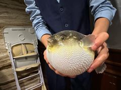 -肆月河豚·新淮扬(金融街店)