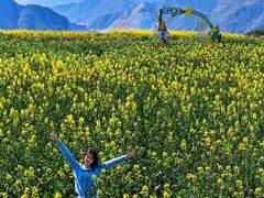 -桑洲油菜花景区