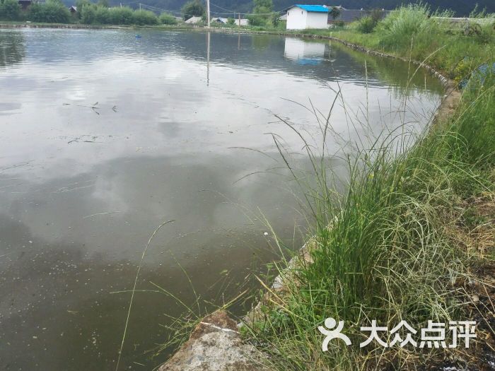 泸沽湖老路老沙鱼塘图片 第3张