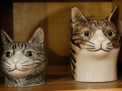 -懒鱼时光馆(沙坪坝店)