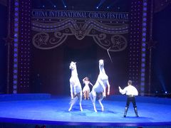 -珠海横琴长隆《卡卡虎奇遇记》