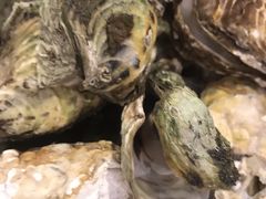 -大正味·蚝酒馆(龙泉店)