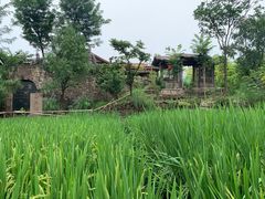 -驿舍·民國老营房院子私房菜(科学会堂店)