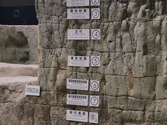 -金沙遗址博物馆