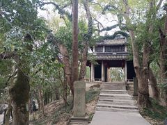 -蒋氏故居