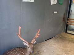 -J Create城市露营咖啡·简餐·宠物(上海动物园店)