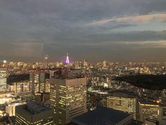 -东京都厅舍