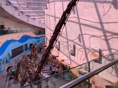 -陕西自然博物馆