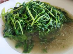 -大金山酒店