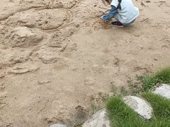 -白鹭湾湿地公园