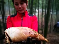 -天下银坑
