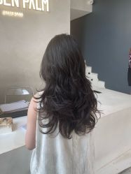 点击看大图 -金棕榈