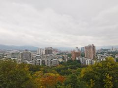 -福道